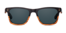 Hayden - Ebony & Zebrawood