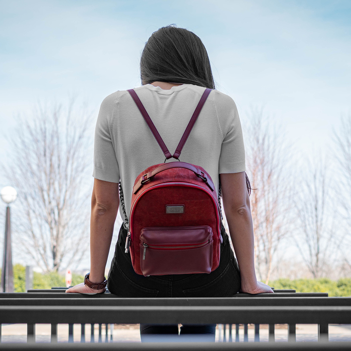 Binca - Eros Red & Gunmetal Zipper Backpack 4